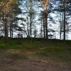  Комплекс Ангенлахти, Эссойла, Республика Карелия