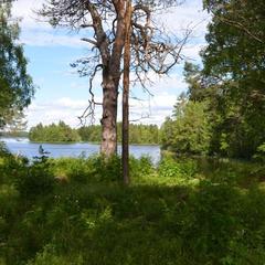  Комплекс Ангенлахти, Эссойла, Республика Карелия