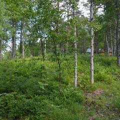  Комплекс Ангенлахти, Эссойла, Республика Карелия