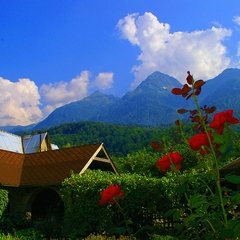 Гостевой дом Добрый дом, Эсто-Садок, Краснодарский край
