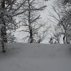  Комплекс Ангенлахти, Эссойла, Республика Карелия