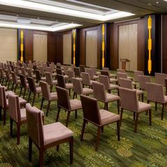 Отель Novotel Congress Красная Поляна, Эсто-Садок, Краснодарский край