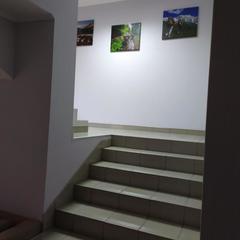 Гостевой дом Березка, Эсто-Садок, Краснодарский край