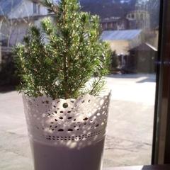 Хостел Твой, Эсто-Садок, Краснодарский край