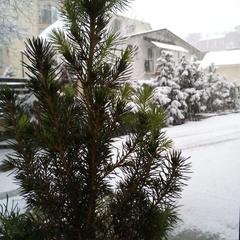 Хостел Твой, Эсто-Садок, Краснодарский край