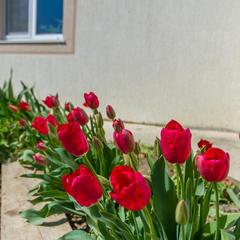 Гостевой дом Нирвана, Южная Озереевка, Краснодарский край