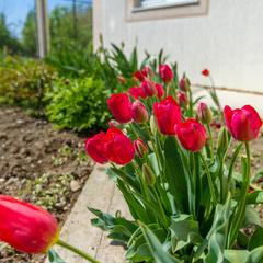 Гостевой дом Нирвана, Южная Озереевка, Краснодарский край