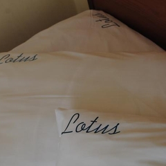 Отель Лотос, Южно-Сахалинск, Сахалинская область