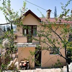 Хостел Собака, Ялта, Крым