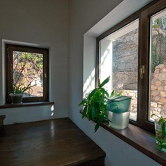 Хостел Собака, Ялта, Крым