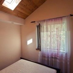 Хостел Собака, Ялта, Крым