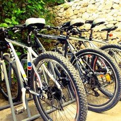 Хостел Собака, Ялта, Крым