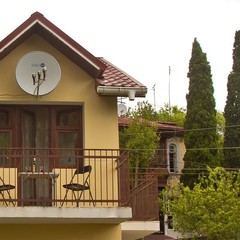 Хостел Собака, Ялта, Крым