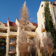 Отель Крымский, Ялта, Крым