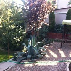 Гостиница Анна, Ялта, Крым