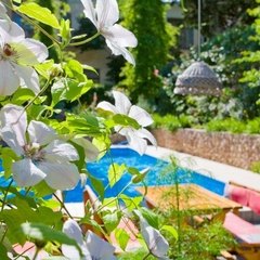 Гостиница Спарта, Ялта, Крым
