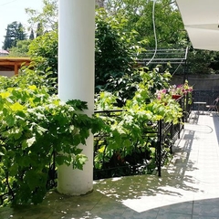 Гостиница Три Дельфина, Ялта, Крым