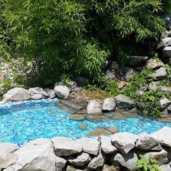 Гостиница Три Дельфина, Ялта, Крым