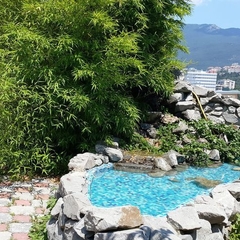 Гостиница Три Дельфина, Ялта, Крым