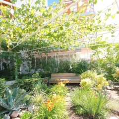 Яхт-клуб Яхт-клуб, Ялта, Крым