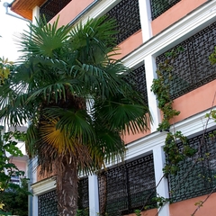 Пансионат Малахит, Ялта, Крым