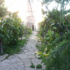 Гостевой дом Горный Воздух, Ялта, Крым