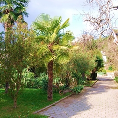 Отель Ripario Modern, Ялта, Крым