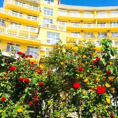 Апартаменты Мираж, Ялта, Крым