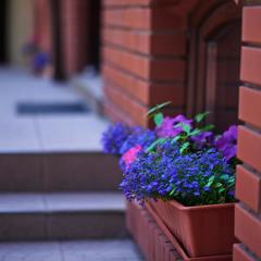 Отель Анна, Янтарный, Калининградская область