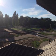 Гостевой дом Алина, Янтарный, Калининградская область