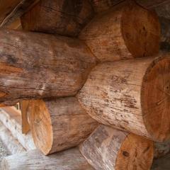 Отель Анна, Янтарный, Калининградская область