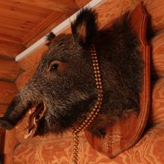 Гостевой дом у Охотника, Янтарный, Калининградская область