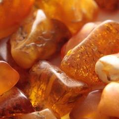 Гостевой дом у Охотника, Янтарный, Калининградская область