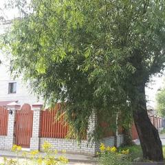 Отель Два Крыла, Ярославль, Ярославская область