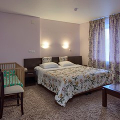 Отель Два Крыла, Ярославль, Ярославская область