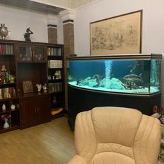 Отель Бутик-Отель RedHouse, Ярославль, Ярославская область