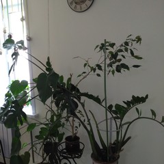 Гостиница Космос, Ярославль, Ярославская область