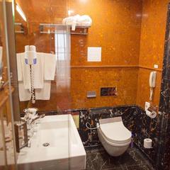 Отель Royal Hotel Spa & Wellness, Ярославль, Ярославская область