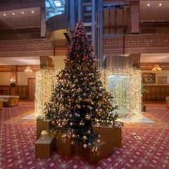 Отель Royal Hotel Spa & Wellness, Ярославль, Ярославская область