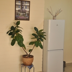 Гостиница 4 комнаты, Ярославль, Ярославская область