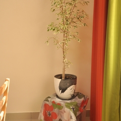 Гостиница 4 комнаты, Ярославль, Ярославская область