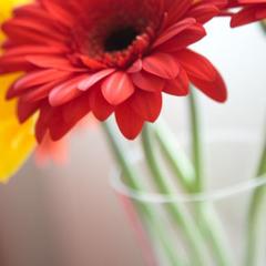 Гостиница Park Inn by Radisson Ярославль, Ярославль, Ярославская область