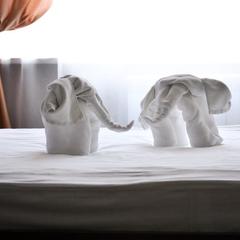 Отель Парус, Ярославль, Ярославская область