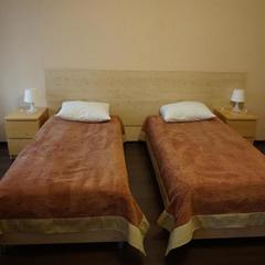 Гостевой дом Академии Пастухова, Ярославль, Ярославская область