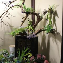 Отель Чистые Ключи, Ярославль, Ярославская область