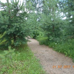 Парк-отель Парк-Отель Диево-Городище, Ярославль, Ярославская область