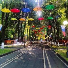 Апартамент Чехова, Ярославль, Ярославская область