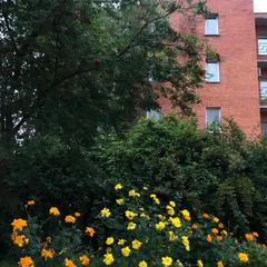 Мотель Оазис, Ярцево, Смоленская область