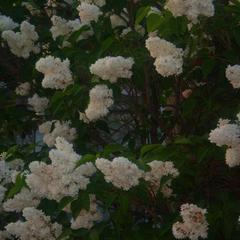 Гостиница Ханский берег, Ясенская Переправа, Краснодарский край