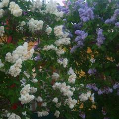 Гостиница Ханский берег, Ясенская Переправа, Краснодарский край